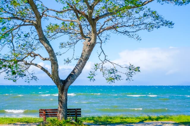 滋賀県の貸別荘一覧